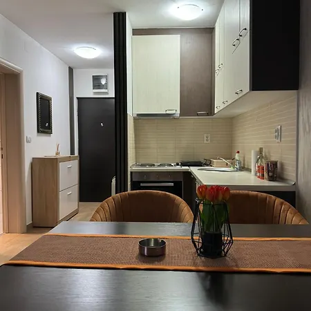 Stan Na Dan Aurora Apartment Pozarevac