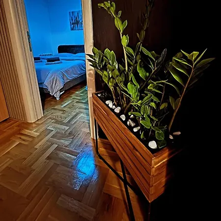 Apartment Stan Na Dan Aurora *