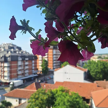 Stan Na Dan Aurora * Požarevac